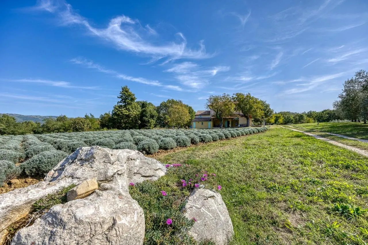 Villa Stancija Klis Vizinada Croatia